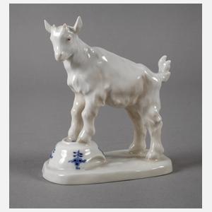 Meissen "Ziegenbock auf Napf, klein"