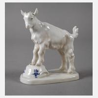 Meissen "Ziegenbock auf Napf, klein"111