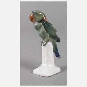 Meissen "Halsbandsittich"