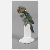Meissen "Halsbandsittich"111