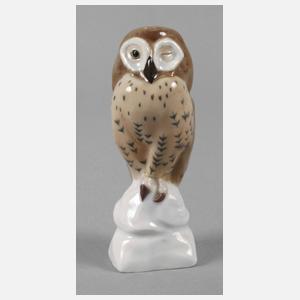 Meissen "Waldkauz"