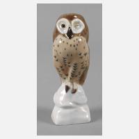Meissen "Waldkauz"111