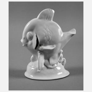 Rosenthal Fisch