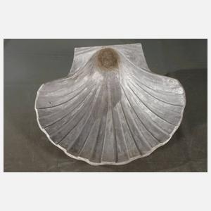 Große Muschelschale