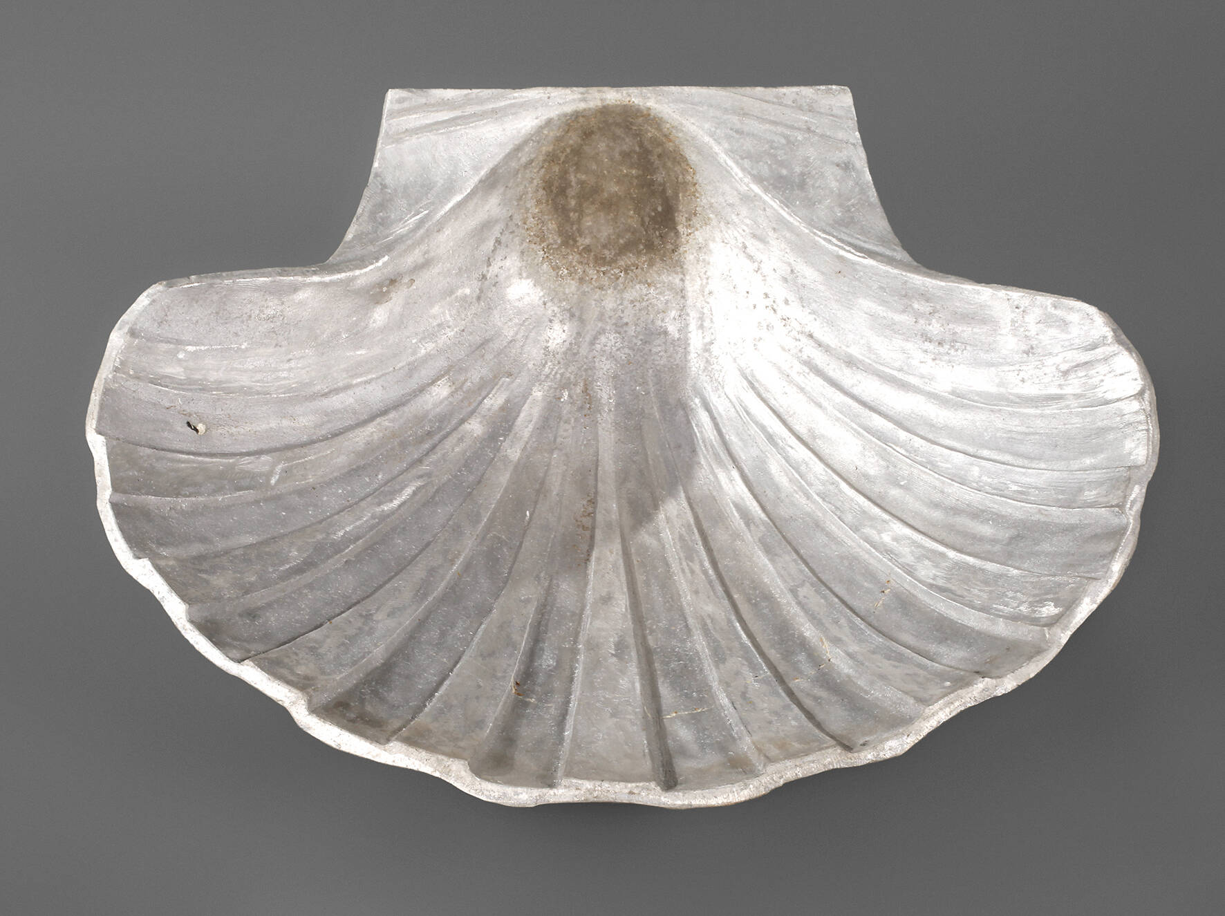 Große Muschelschale