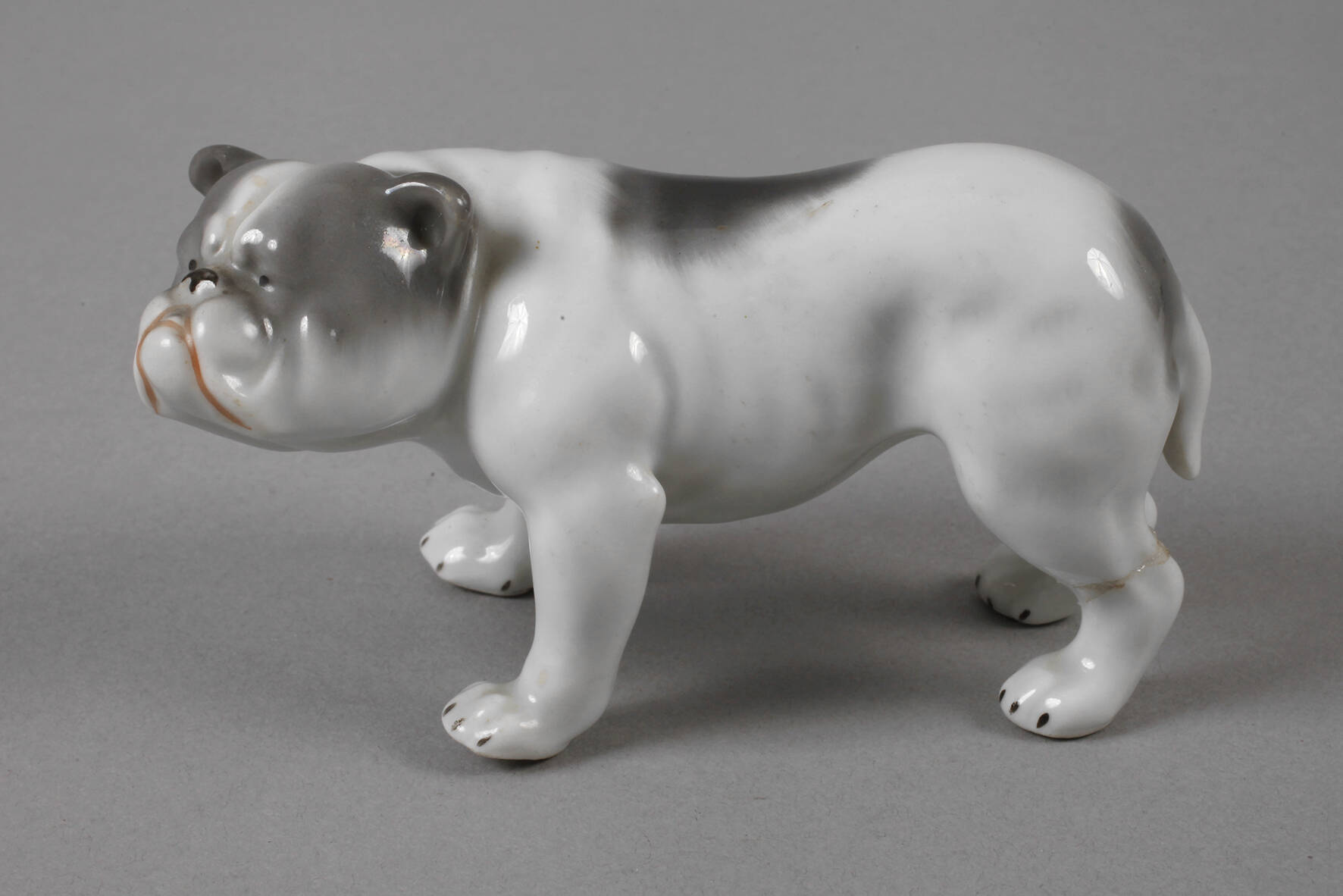 Heubach Lichte Englische Bulldogge