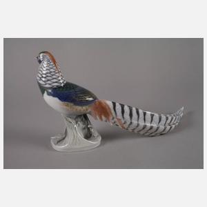 Kopenhagen "Schreitender Diamantfasan"