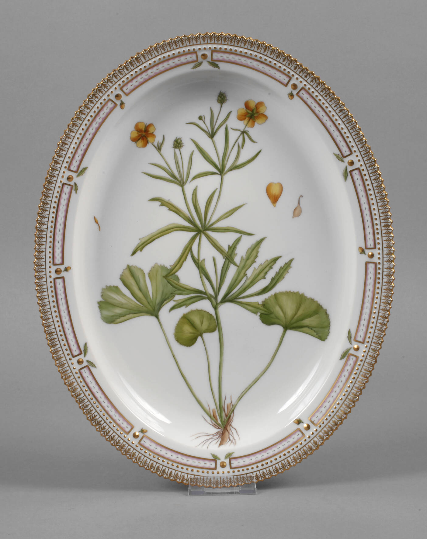 Kopenhagen große Platte "Flora Danica"