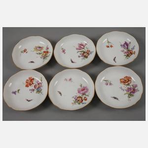 KPM Berlin Kaffeeservice "Blumen und Insekten"