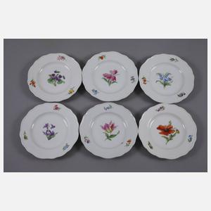 Meissen Kaffeeservice "Blume 1"