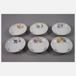 Meissen Kaffeeservice "Blume 1"