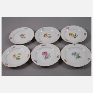 Meissen Kaffeeservice "Blume 1"