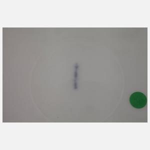 KPM Berlin sechs Durchbruchteller "Blumenbukett"