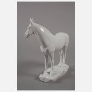 Meissen Springpferd "Halla"