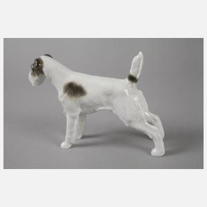 Metzler & Ortloff Ilmenau Foxterrier