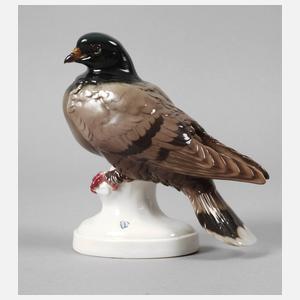 Nymphenburg "Taube (Möventaube)"