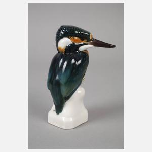 Nymphenburg Eisvogel