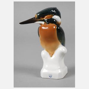 Nymphenburg Eisvogel