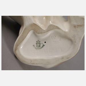 Nymphenburg Bernhardiner