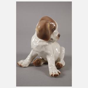 Nymphenburg Bernhardiner