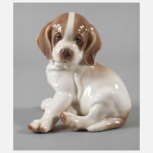 Nymphenburg Bernhardiner