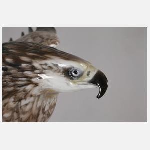 Rosenthal "Steinadler, groß"