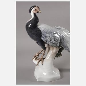 Rosenthal lebensgroßer Silberfasan