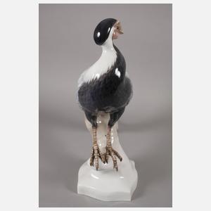 Rosenthal lebensgroßer Silberfasan
