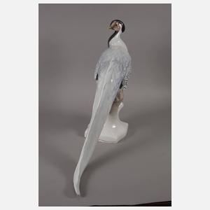 Rosenthal lebensgroßer Silberfasan