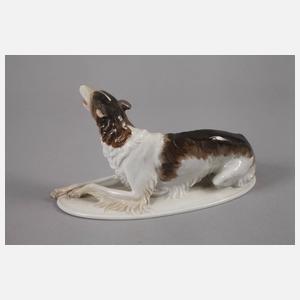 Rosenthal liegender Barsoi