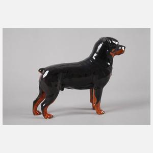 Rosenthal Rottweiler