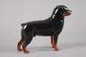 Rosenthal Rottweiler