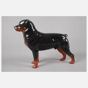 Rosenthal Rottweiler
