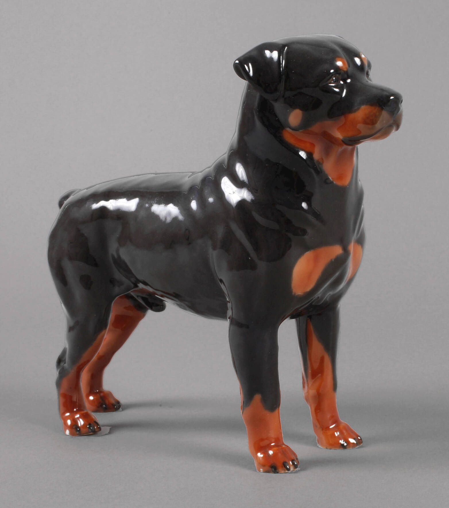 Rosenthal Rottweiler