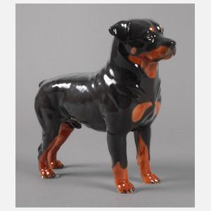 Rosenthal Rottweiler