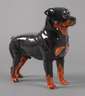 Rosenthal Rottweiler