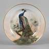 Sandizell Höffner & Co. Wandteller mit Pfauenmotiv
