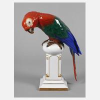 Zeh, Scherzer & Co. Papagei111