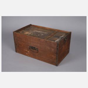 Große Zinndeckenspinne