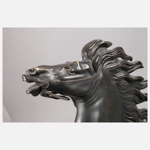 nach Guillaume Coustou, Cheval de Marly