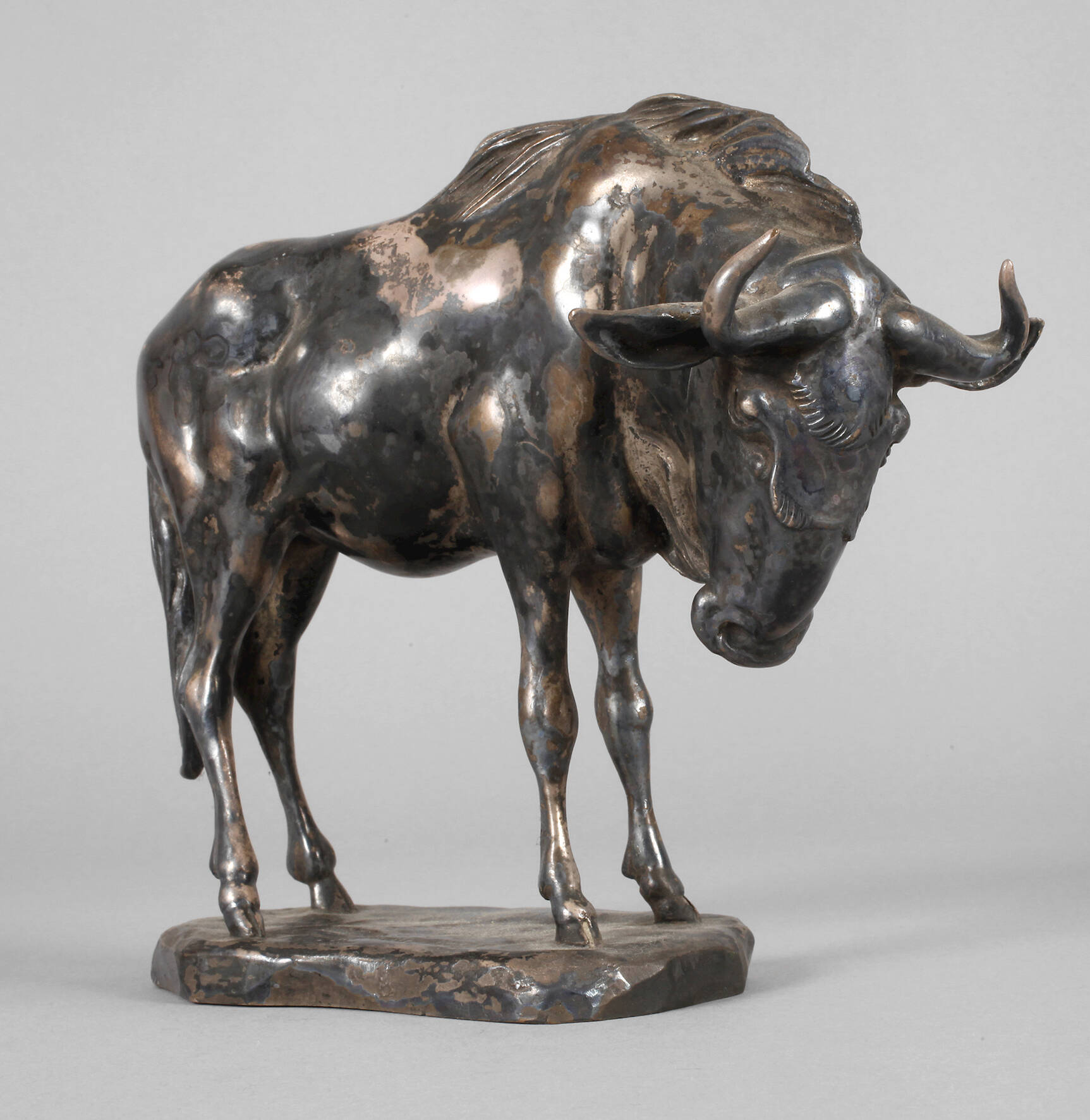 Christian Metzger, stehendes Gnu