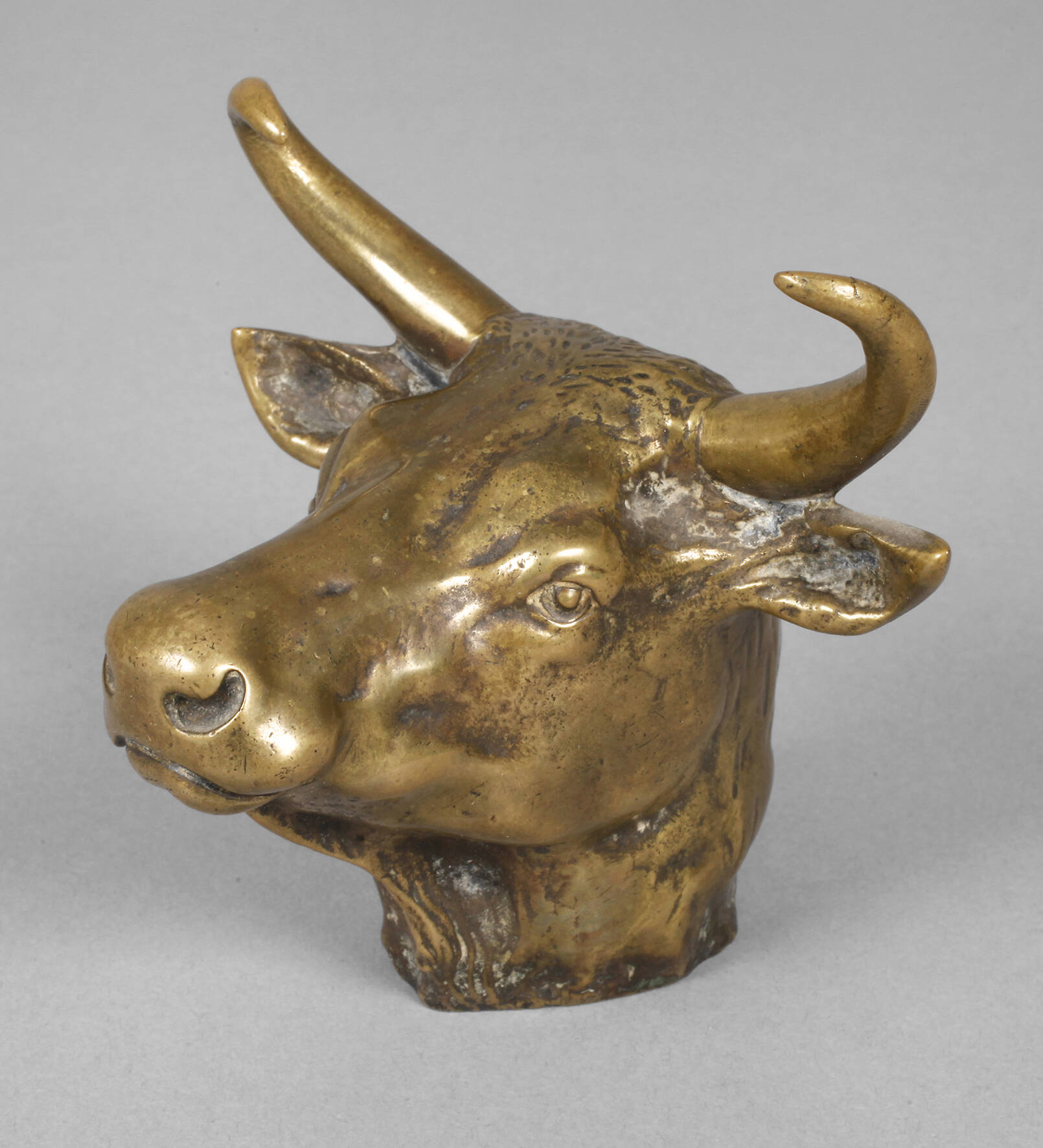 Henri Payen, Stierkopf