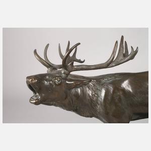 Josef Pallenberg, röhrender Hirsch