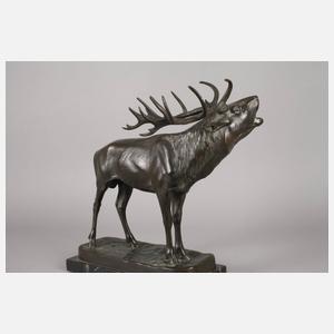 Josef Pallenberg, röhrender Hirsch