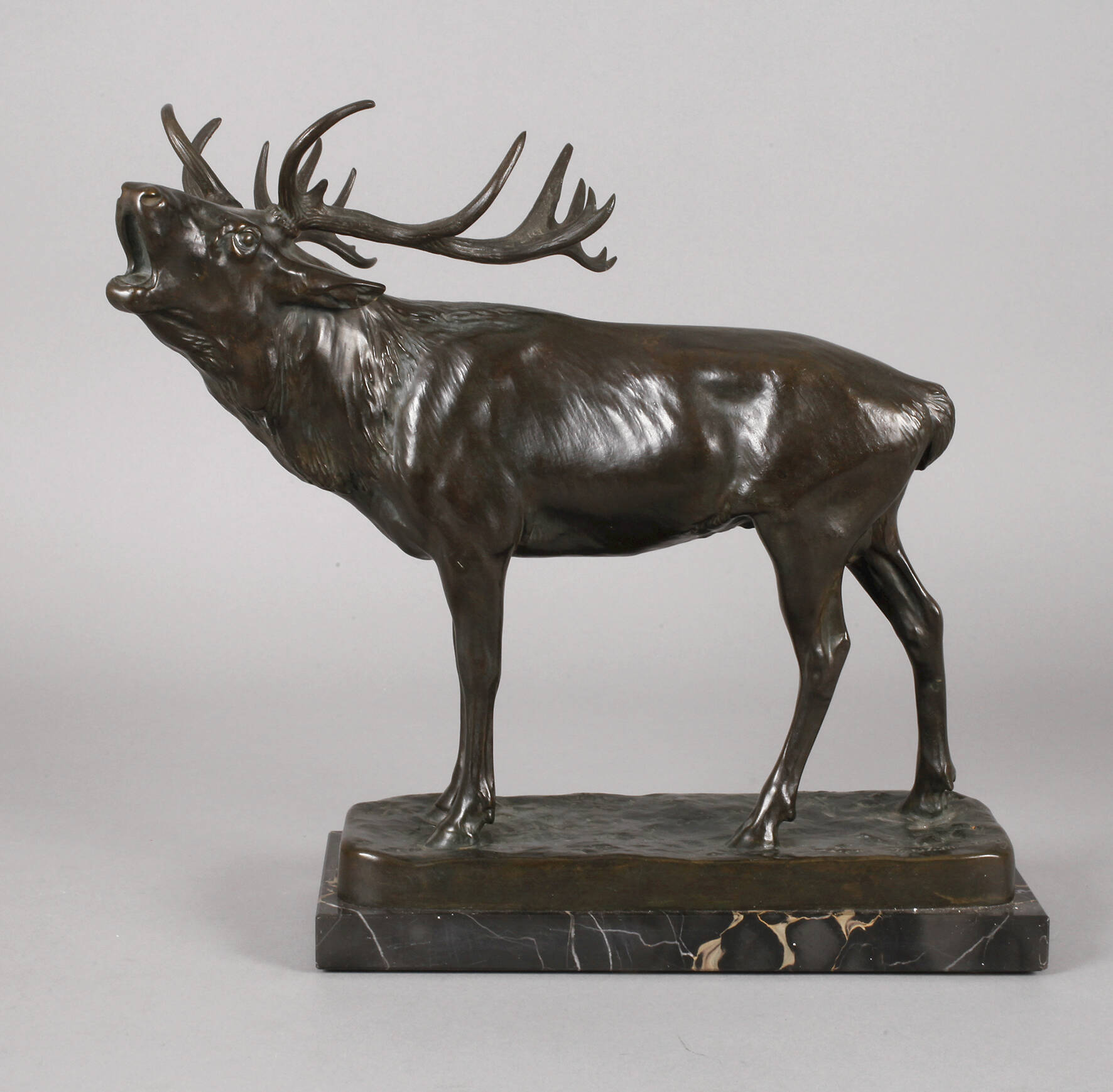 Josef Pallenberg, röhrender Hirsch