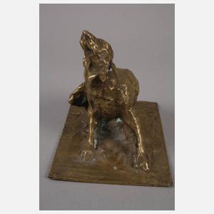 G. Anelli, kratzender Hund