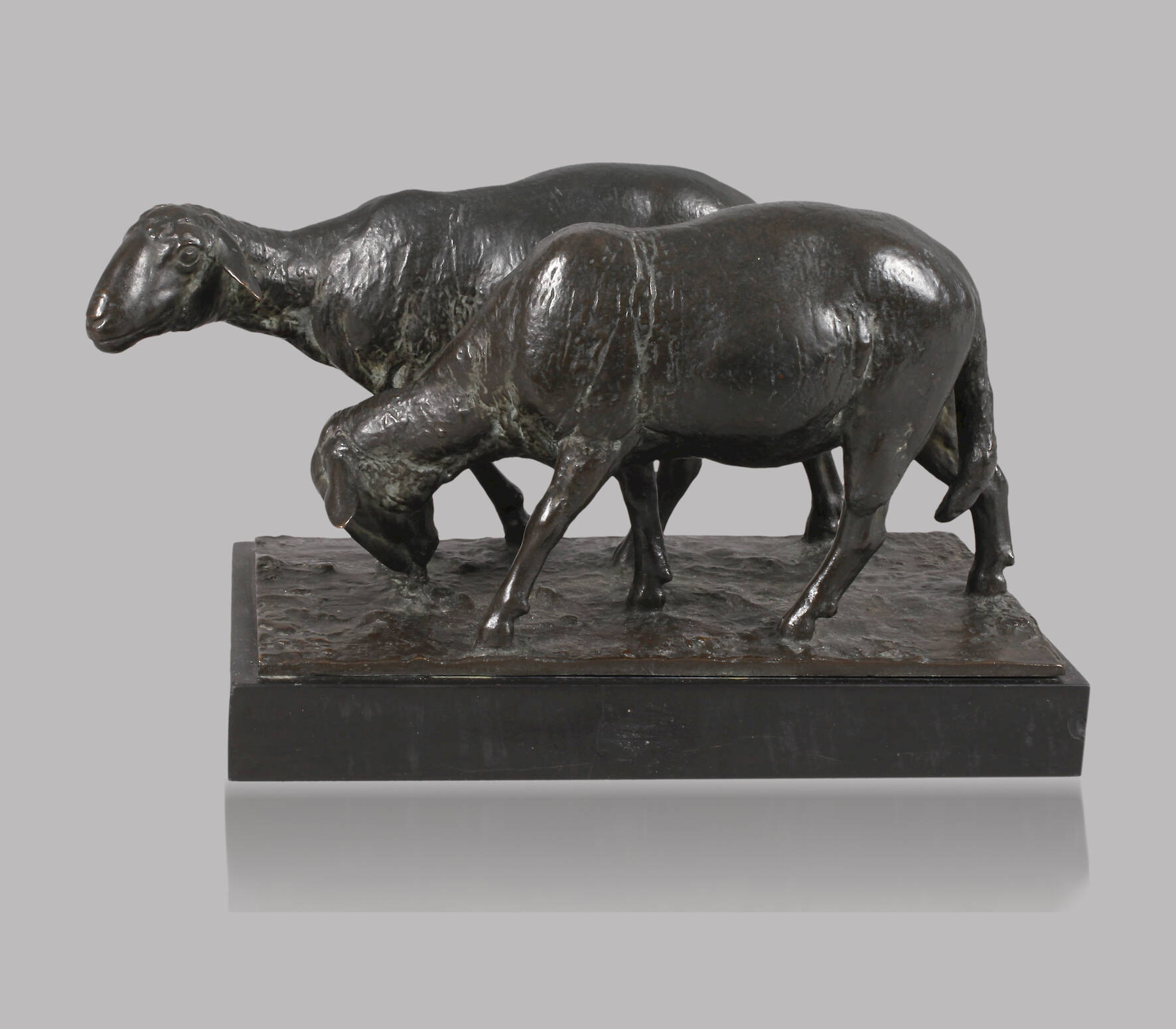 August Gaul, grasende Schafe