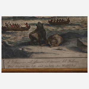 Georg Balthasar Probst, Beim Walfang