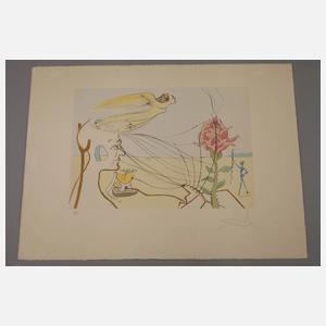 Salvador Dali, Die Rose (Traum)