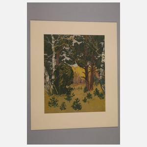 Hans Holzmüller, Waldstück